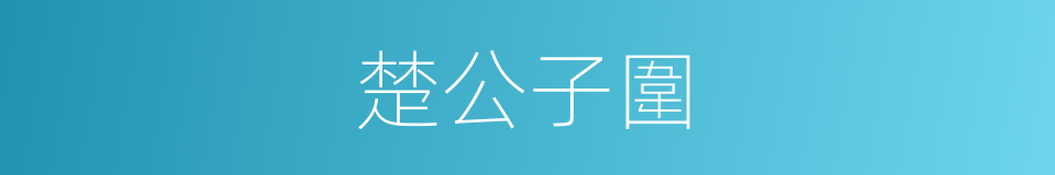 楚公子圍的同義詞