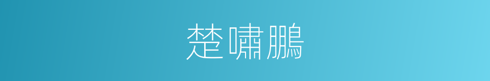 楚嘯鵬的同義詞