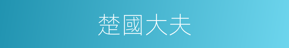 楚國大夫的同義詞