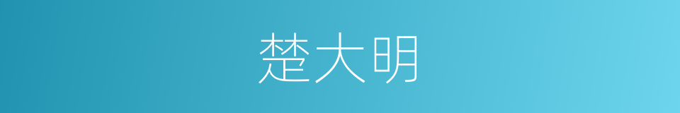 楚大明的同义词