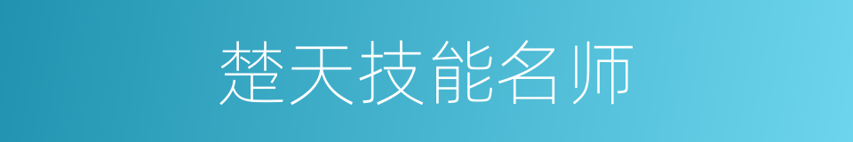 楚天技能名师的同义词