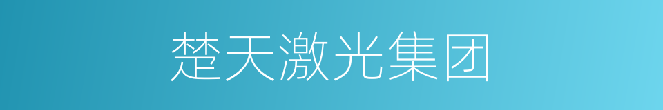 楚天激光集团的同义词
