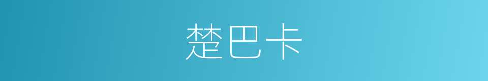 楚巴卡的同义词