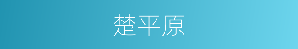 楚平原的同义词