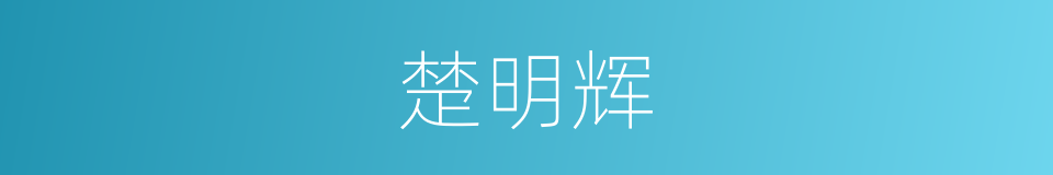 楚明辉的同义词