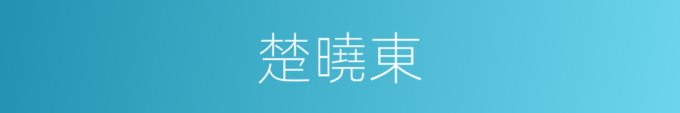 楚曉東的同義詞