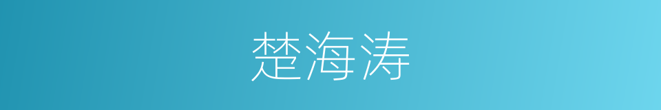 楚海涛的同义词