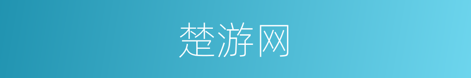 楚游网的同义词