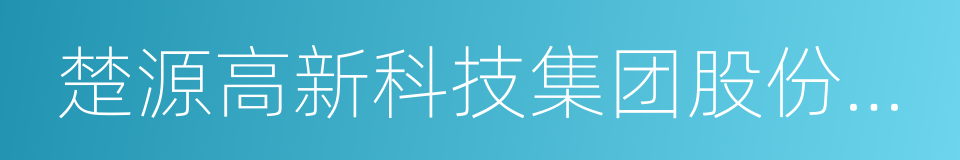 楚源高新科技集团股份有限公司的同义词