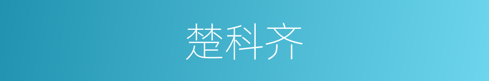 楚科齐的同义词