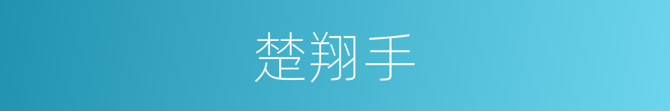 楚翔手的同义词
