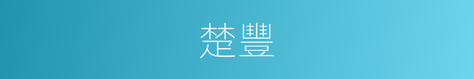 楚豐的同義詞