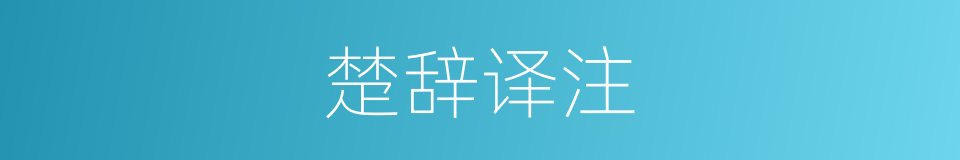 楚辞译注的同义词