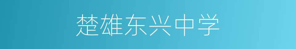 楚雄东兴中学的同义词