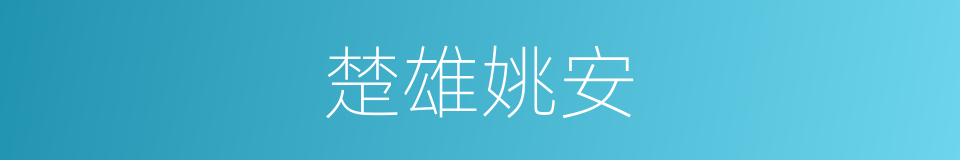 楚雄姚安的同义词