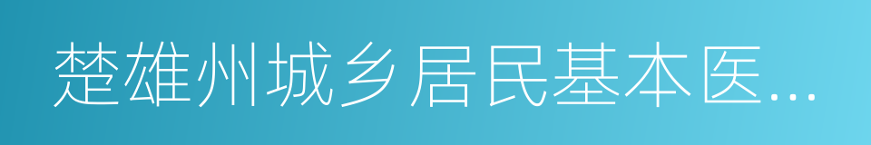 楚雄州城乡居民基本医疗保险暂行办法的同义词