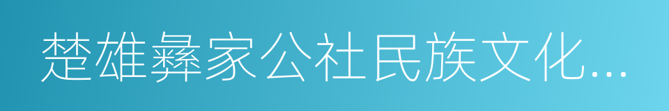 楚雄彝家公社民族文化发展有限公司的同义词