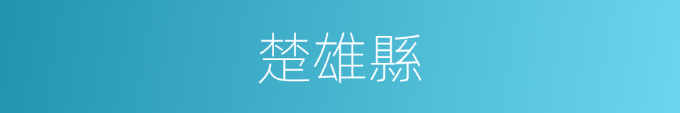 楚雄縣的同義詞