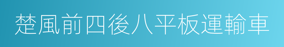 楚風前四後八平板運輸車的同義詞