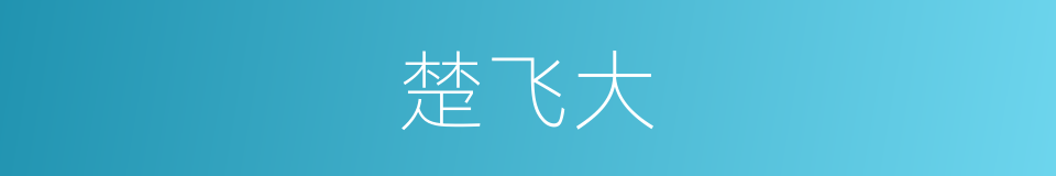 楚飞大的同义词