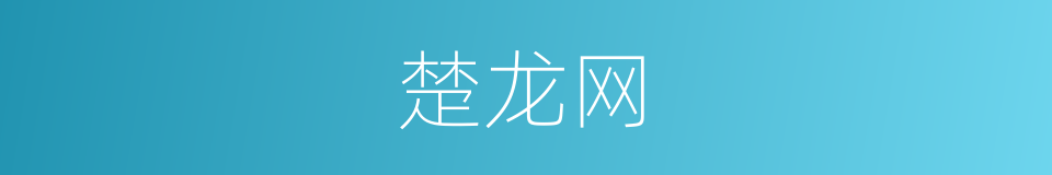 楚龙网的同义词