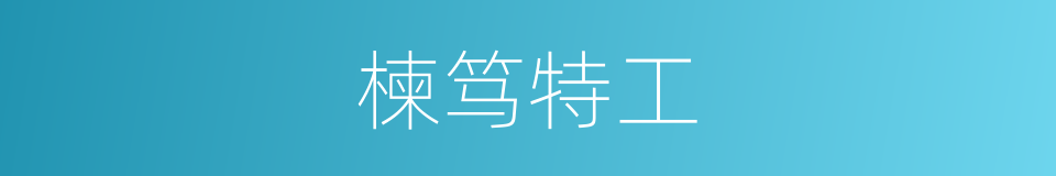 楝笃特工的同义词