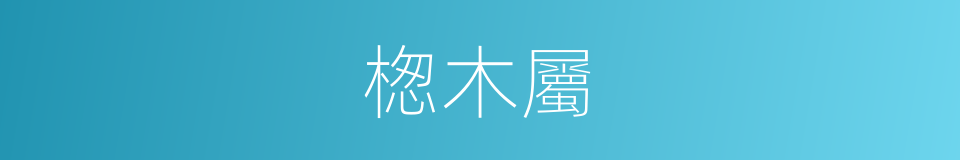 楤木屬的同義詞