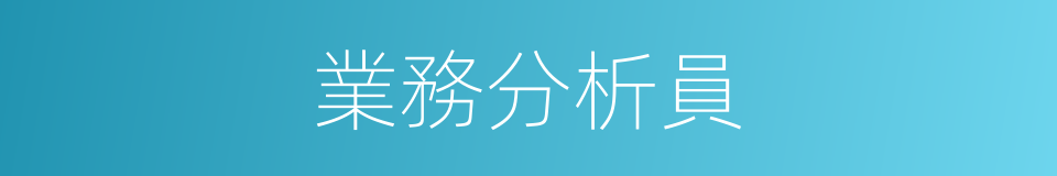 業務分析員的同義詞