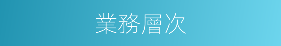 業務層次的同義詞