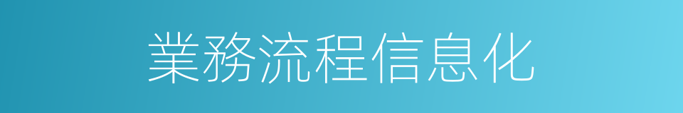 業務流程信息化的同義詞