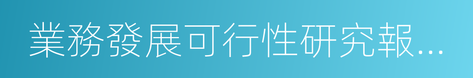 業務發展可行性研究報告和技術方案的同義詞