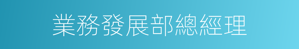 業務發展部總經理的同義詞