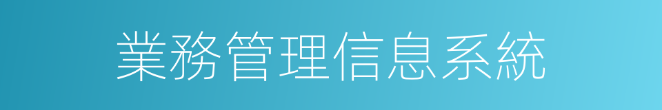 業務管理信息系統的同義詞