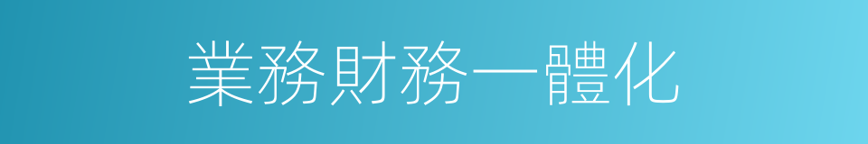 業務財務一體化的同義詞