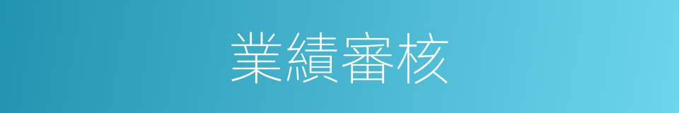 業績審核的同義詞