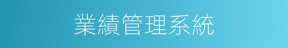 業績管理系統的同義詞