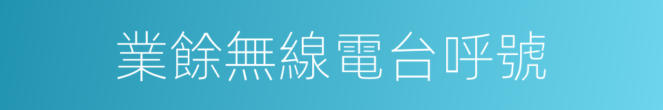 業餘無線電台呼號的同義詞