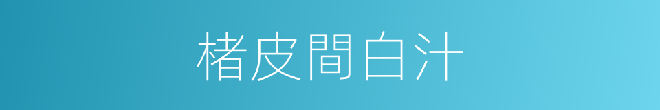 楮皮間白汁的同義詞