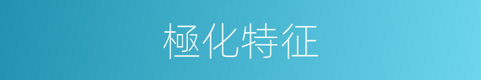 極化特征的同義詞