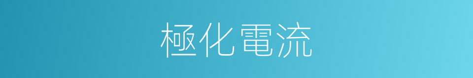 極化電流的同義詞