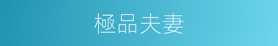 極品夫妻的同義詞