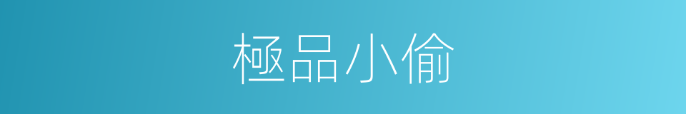 極品小偷的同義詞