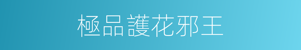 極品護花邪王的同義詞