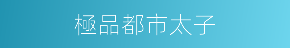 極品都市太子的同義詞