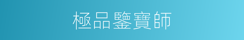 極品鑒寶師的同義詞
