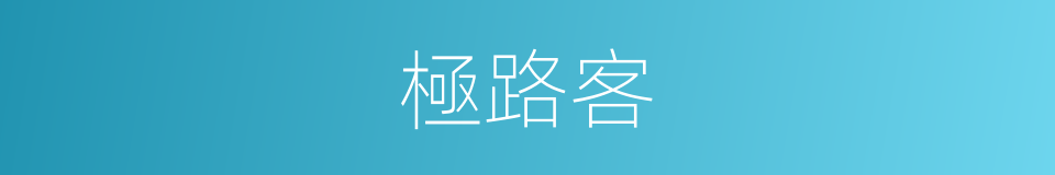 極路客的同義詞