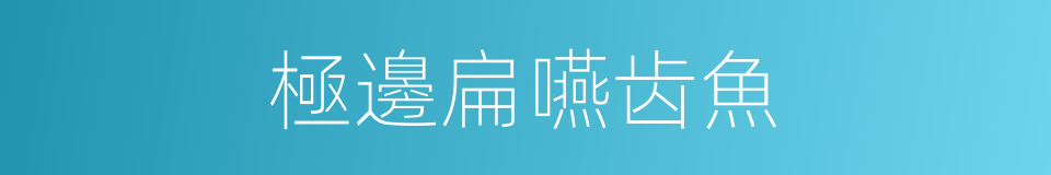 極邊扁嚥齿魚的同義詞