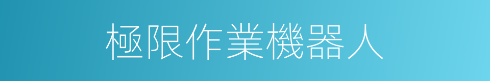 極限作業機器人的同義詞