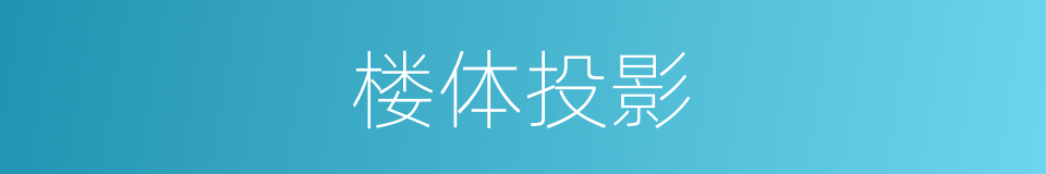 楼体投影的同义词