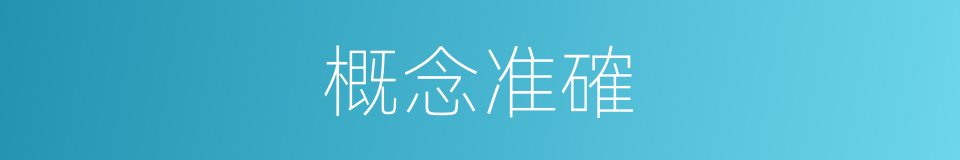 概念准確的同義詞